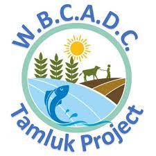 Logo 5